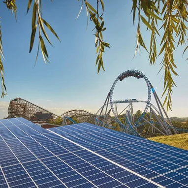 Installation photovoltaïque avec vue sur les grands huit Blue Fire et Wodan à la tombée du jour. Panneaux solaires sur une prairie, un arbre au premier plan, la silhouette d'Europa-Park en arrière-plan.
