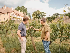 Thomas Mack (links) und Mathieu Kauffmann bei Château Ollwiller Thomas Mack und Mathieu Kauffmann betrachten die Weinreben des Château Ollwiller.
