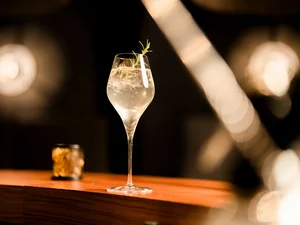 Der ALZA LXIR Tonic wird in einem Weinglas mit Rosmarindeko serviert.