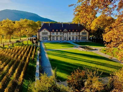 Château Ollwiller The picturesque grounds of the Château Ollwiller vineyard, surrounded by golden yellow trees and grapevines.
