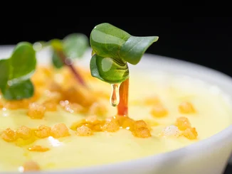 Erleben Sie Umami mit dem Menü "Red Dimensions" oder "Green Dimensions".